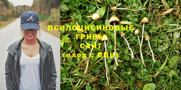 гашиш Аркадак