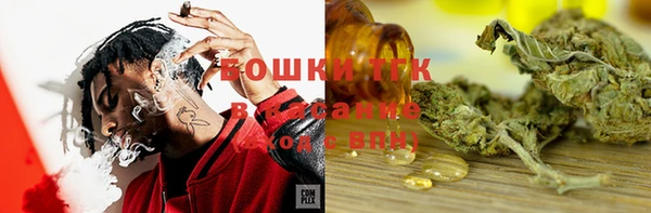прущий лед Арсеньев